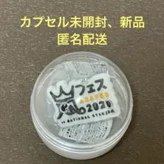 カプセル未開封 嵐 歴代ツアー ロゴマグネット アラフェス 2020