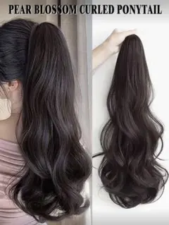 ウィッグ ロング ウィッグ