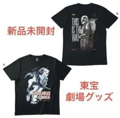 非売品】映画プレデターTシャツPREDATOR BADLANDS Mサイズ - メルカリ