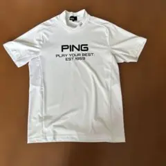 PING ゴルフウェア　蝉川泰果モデル