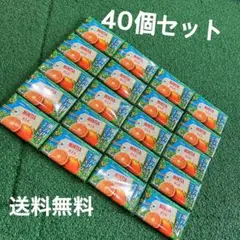 早い者勝ち！格安！新品未開封品！MINTIA ミンティア せとか 40個セット