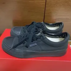 Item thumbnail for item 9a7b759e-be22-42ed-bfa4-df3529083e8b