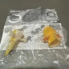 いきもの大図鑑レプティ メキシコサラマンダー ゴールデン