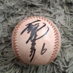 Item thumbnail for item f81f9931-20e5-4ba6-ac8c-bc2ab53f72b8