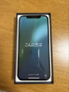 Apple iPhone 12pro 本体