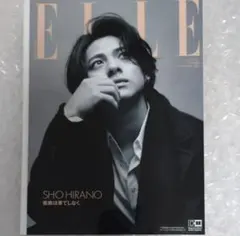 平野紫耀 増刊 ELLE JAPON 特別版 2023年11月号 エルジャポン - メルカリ