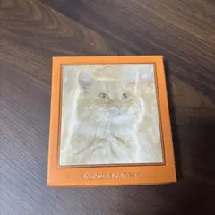 VENUS MARBLE アイシャドウパレット