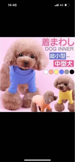 Item thumbnail for item 583fb7b6-78fe-41d3-bfaa-b10efced9f06