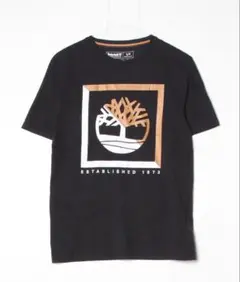 美品 Timberland Tシャツ ブラック Sサイズ黒のサムネイル