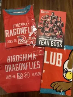 広島ドラゴンフライズ