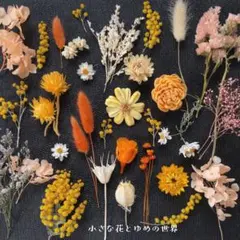 ✤花材セット5✤イエローオレンジ系たっぷり15種以上✤ドライ✼プリザーブド