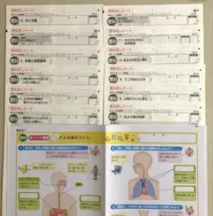 2026年最新】カラーテスト 理科 6年の人気アイテム - メルカリ