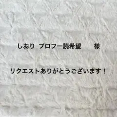 しおり プロフ一読希望様 リクエスト 4点 まとめ商品