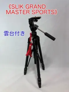 Item thumbnail for item 510b1635-f7cb-4ce0-8e72-3050239aa078