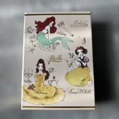 ディズニープリンセスミニノート3冊セット。