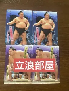 BBM 大相撲 豊昇龍 智勝 巨星 横綱 SUMO CARDS インサート - 2024 BBM