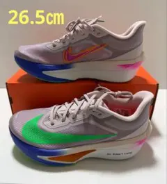 ナイキ ズーム フライ 6 Eliud Kipchoge 26.5