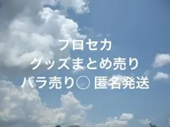 プロセカ　グッズ　バラ売り