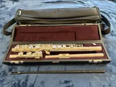 Item thumbnail for item 49ea51b5-5af7-4469-b05e-184e41a60a9f