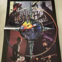 幻覚 BALZAC スプリットCD - メルカリ