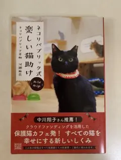 Item thumbnail for item 112ef466-3d10-42c6-861e-833299e7aa15