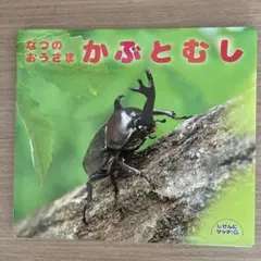 なつのおうさまかぶとむし 稲花小学校受験　絵本対策