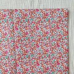 リバティ　エロイーズ　50cm