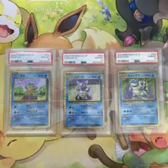 PSA10 カメックスex カメール ゼニガメ 3連番 Sequential - メルカリ