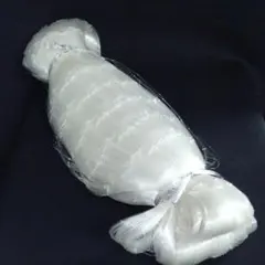 Item thumbnail for item b006c24d-062e-4f24-bf8d-f1b726d75173