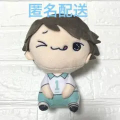 ハイキュー‼︎ もちぴこ　ぬいぐるみ 及川徹