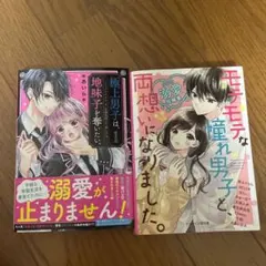 野いちご文庫セット2冊