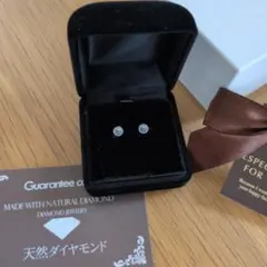 pt900 ピアス(両耳用)