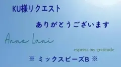 KU様リクエスト 専用ページ 各10M×5束 ミックスビーズB