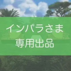 インパラさま　専用出品　インサート2点