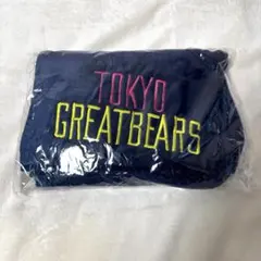 バレーボール　東京グレートベアーズ　ファンクラブ　特典　ブランケットのサムネイル