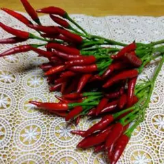 大きめ　ローゼルと唐辛子のリース　ユーカリ　パンパスグラス　秋〰️クリスマス 大きめ ローゼルと唐辛子のリース ユーカリ パンパスグラス 秋