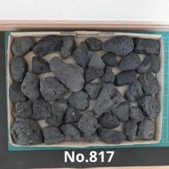 現物 140番】黒溶岩石 アクアリウム テラリウム ビオトープ ろ材