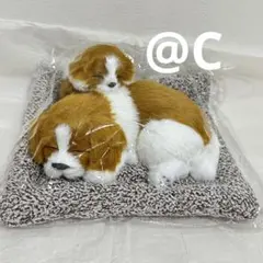 2025年最新】キャバリア ぬいぐるみの人気アイテム - メルカリ