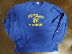 Item thumbnail for item 469428c3-b3a9-4124-bca7-e7a3fcdd16db