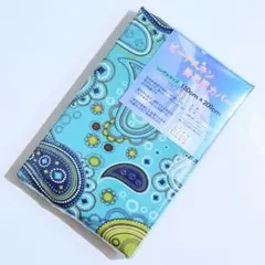 Item thumbnail for item a9533768-08c4-4969-9a2e-4076377b4eb7