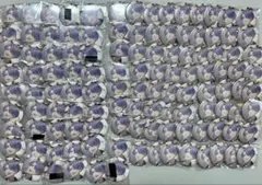 弦月藤士郎 ジューンブライド 缶バッジ