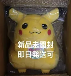 ポケモン30周年記念おかえり!ピカチュウ1/1 ⑥