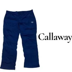 Item thumbnail for item 31f4f5e9-3a4f-4475-bcb5-2fad431a2070