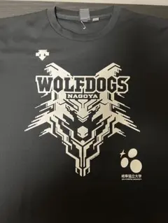 ウルフドッグス名古屋 デサントデー限定ユニフォーム（ゴールドベース