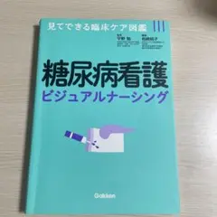 糖尿病看護 ビジュアルナーシング