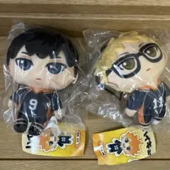 ハイキュー　ぬいぐるみマスコット2体セット