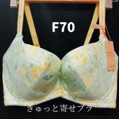 トリンプ　 F70 アモスタイル　きゅっと寄せブラ ウォーターのサムネイル