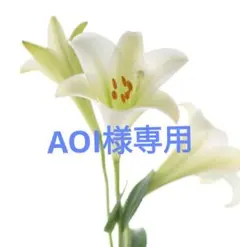 AOI様専用セット