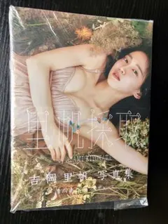 吉岡里帆 タレント写真集