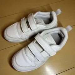 Item thumbnail for item 27241687-decb-41ec-bc02-e1c49cfc060c